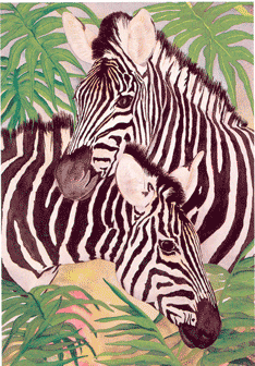 Nikko's Zebras