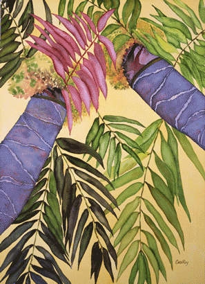 Royal Hawaiian Palm